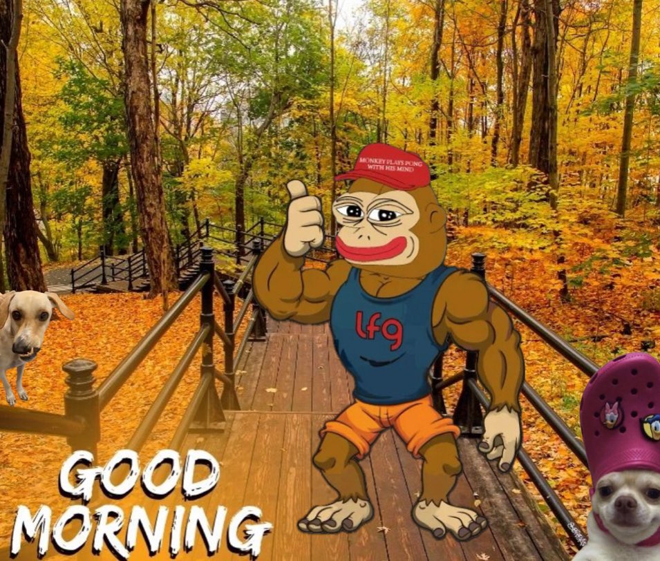 The Monke tweet media