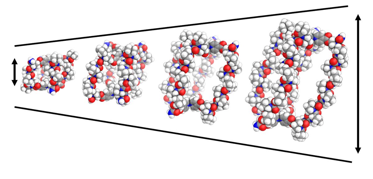 First Pre-print from the @mcternangroup is up at tinyurl.com/3zdhmc7r - we've built metal-peptidic cages from helical peptides, enabling us to rapidly make a family of cages from 1-4 nm in length. Brilliant work from @B_E_Barber Ellen and Leah at @TheCrick and @kclchemistry