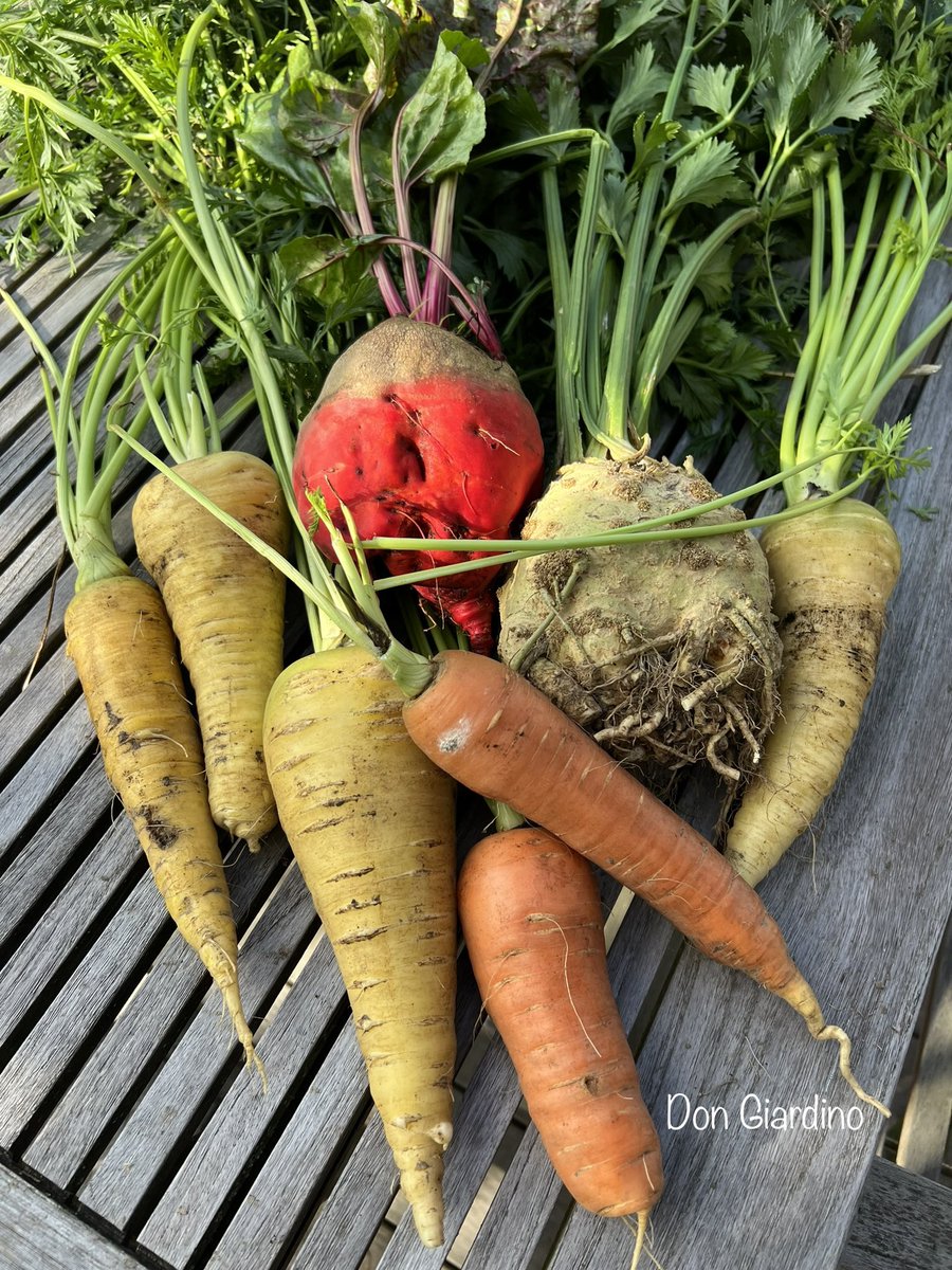 Selbstversorger tweet media