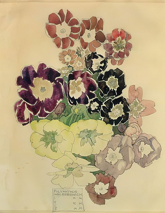 Polyanthus 1915 #CharlesRennieMackintosh