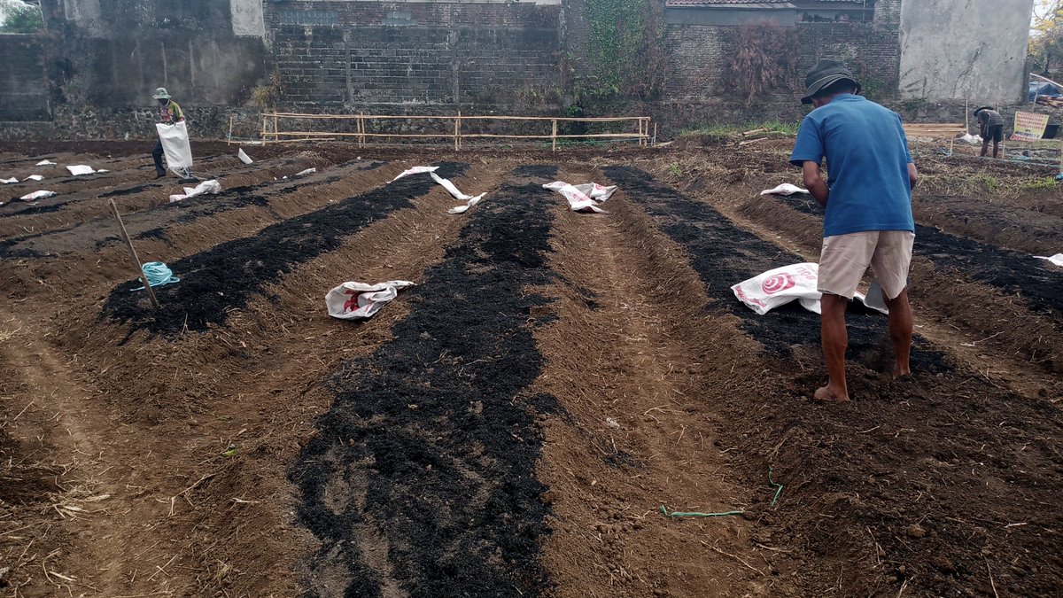 Dengan segala keruwetan politik yg penuh intrik
Kita hanya bisa tetap seperti ini, tidak ada ketahanan pangan atau food estate
.. 
.. 
Hanya kemandirian pangan dan integrasi pertanian yg kami tetep bisa dan tetap jalani, lebih realistis di mata petani