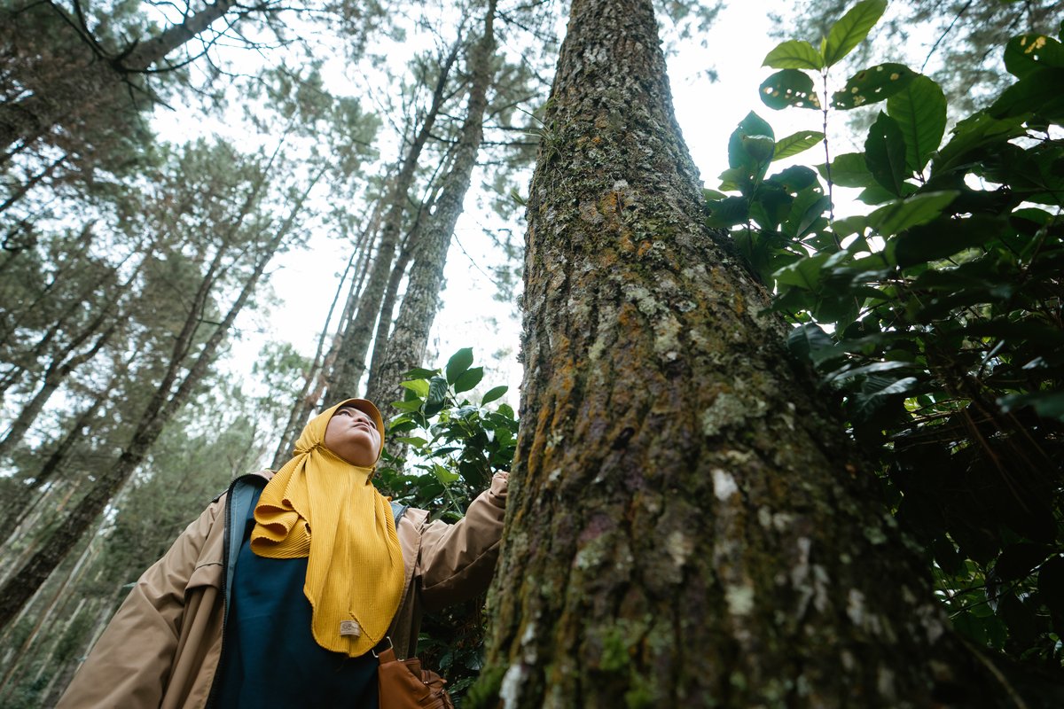 rocio_condor's tweet photo. Do you want to learn more about existing FAO e-learning opportunities on forest monitoring for #climateaction?

Register NOW 👉https://t.co/77E7n2MKXb

🗓️15 November 2023

🕝14:00-15:00 CET

#Together4Transparency https://t.co/B9PSjEDXeh