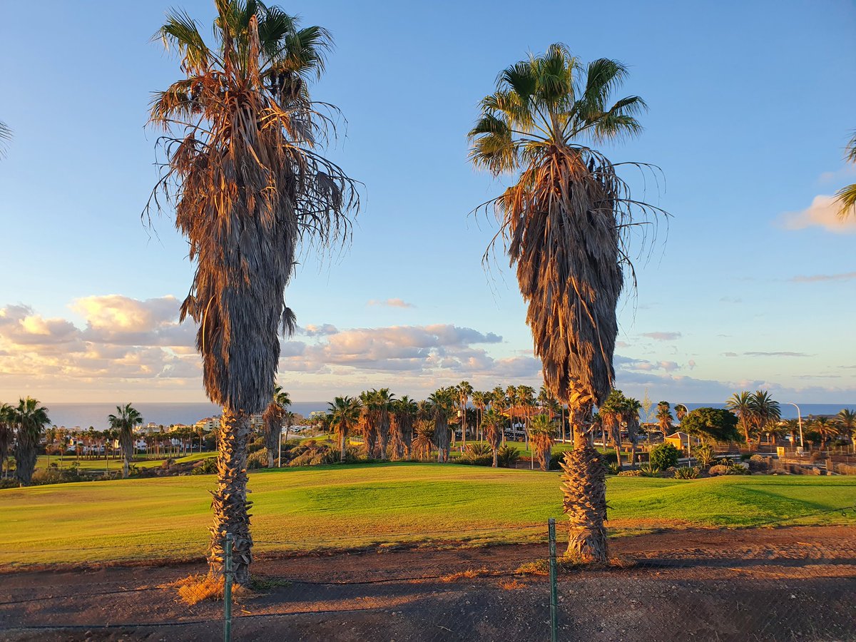 #Tenerife From #RoyalTenerifeCountryClub. Natural color show every morning.