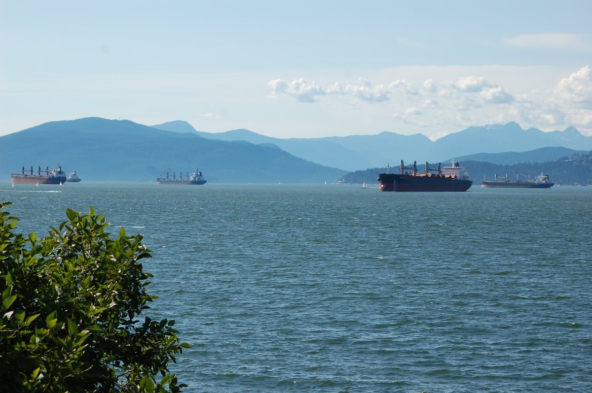 PropicsMediaLtd's tweet photo. #EnglsihBay #WestEnd #NorthVancouver #WestVancouver #PointGrey #Scenery #MetroVancouver #Photography #Photographer #ProPicsCanadaMedia #Images #1000words #Memes #meme #creators @advertising #marketing #freelance #Agency #Stillsphotographer #Art #Arts #Canada #Canada https://t.co/T4q6Nj1fbg