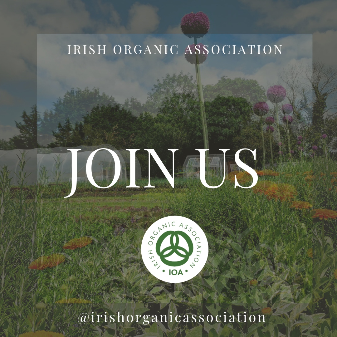 Irish Organic Association (@irishorganica) on Twitter photo Converting to organic? With over 40 years being Ireland's leading certification body there is no better team to message than us.
Email info@irishoa.ie today for more information.
#demandorganic #organicireland Converting to organic? With over 40 years being Ireland's leading certification body there is no better team to message than us.
Email info@irishoa.ie today for more information.
#demandorganic #organicireland
