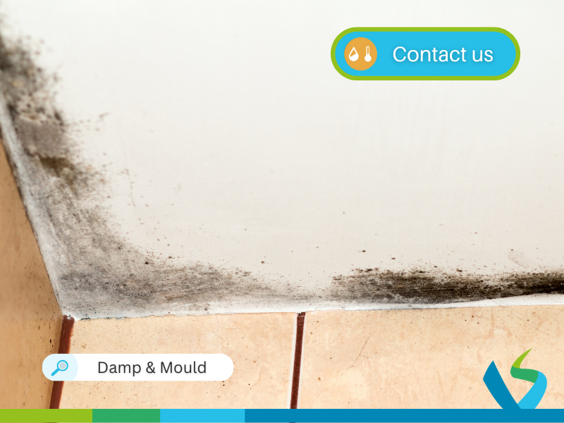 “The mould is everywhere – even on our clothes in the wardrobes. The whole house smells damp with things growing everywhere because of it and flies around.”

uk.news.yahoo.com/4-old-girl-hos…