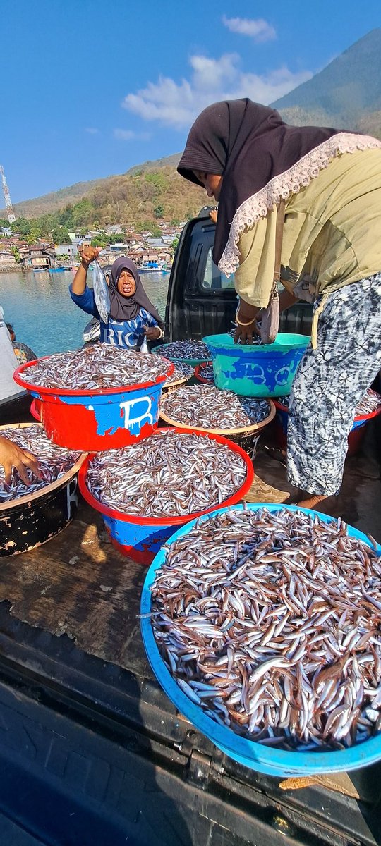 YohMariaVianei's tweet photo. Selasa (10/10), Yoh Maria  Vianei Keni Bolen, Luhkan Flores Timur, di Pemasar Ikan An. Kairul Nurdin, asal Desa Lamahala Jaya, Kec. Adonara Timur, mendata produksi ikan teri merah sebanyak 850 kg, harga Rp. 15.000/Kg
#GiatLuhkanSatminkalGondol
#Flotim 
#Produksi https://t.co/TpwABfgQ5Z
