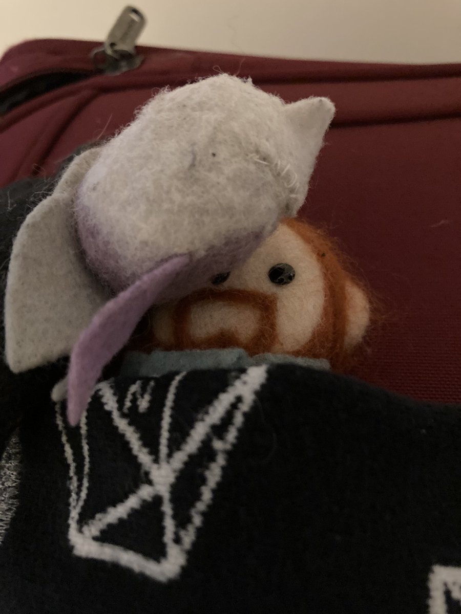 piratethextine's tweet photo. Babe wake up it’s #MightyNeinReunited Day
#smolessekadventures #shadowbeans #essekthelyss #calebwidogast https://t.co/vnc6gFvl02
