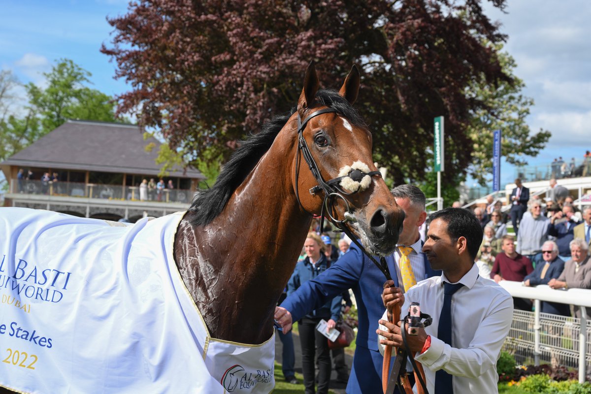 Desert Crown, our 2022 @ABE_Dubai Dante Stakes victor who went on to Epsom glory. Our thoughts continue to be with connections of this Knavesmire star⭐️