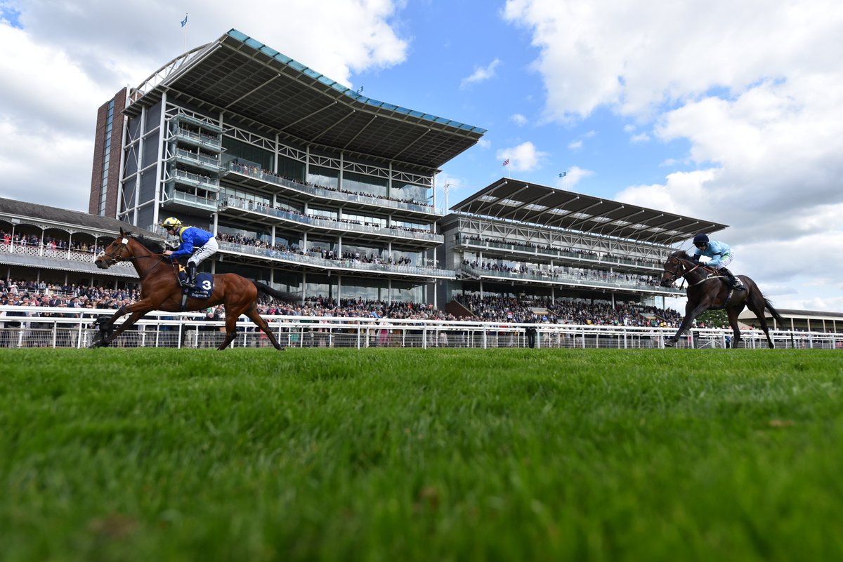 yorkracecourse's tweet photo. Desert Crown, our 2022 @ABE_Dubai Dante Stakes victor who went on to Epsom glory. Our thoughts continue to be with connections of this Knavesmire star⭐️ https://t.co/QTOTYZefJx