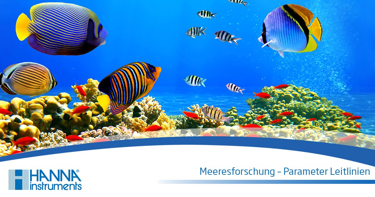 HannaInstAT's tweet photo. 🐟Gewässersysteme sind wichtige wirtschaftliche und ökologische Ressourcen sowie Erholungsgebiete.

Um mehr über dieses Thema zu erfahren, folgen Sie dem nächsten Link: https://t.co/LKFoTQm61u https://t.co/mvdqtVBzS1