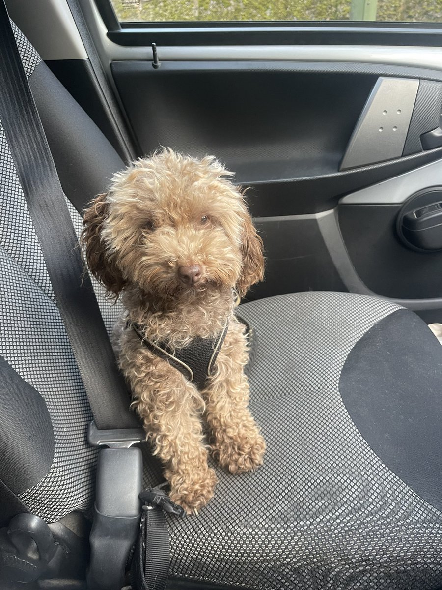 Pixel Plant Gamer tweet media