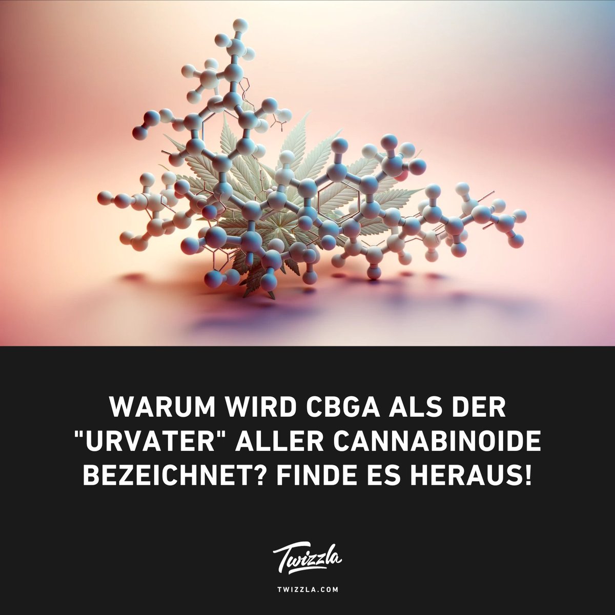 Warum wird CBGA als "Urvater" aller Cannabinoide bezeichnet? 🤔 Tauch mit uns in die wissenschaftlichen Tiefen ein! #Twizzla #CBGA #Cannabinoide #CBDWelt #CannabisForschung

twizzla.com/blogs/magazin/…