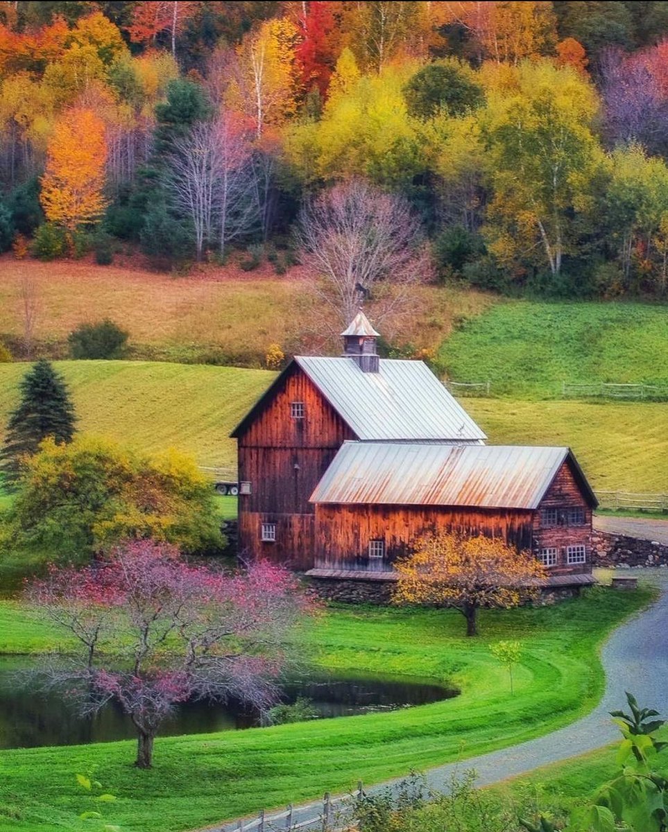 Beautiful Autmn ❤️
#Autumn #beauty #Scenery #view #place #colours #forest #forestlife #trees #nature #NatureBeauty #NaturePhotography #naturelovers #photooftheday #photography #photographylovers #PhotographyIsArt #travelphotography #landscapephotography #Trending #viral #foryou