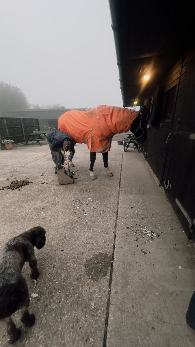 littledave72's tweet photo. Gotta keep the farrier happy #MaccyD breakfast https://t.co/e0B4zDcWr4