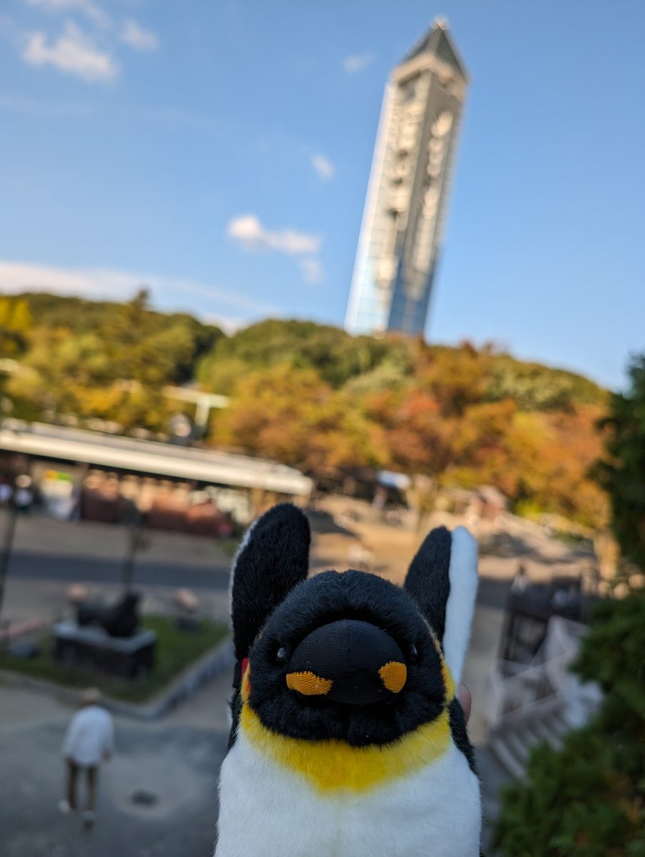 takeuchinameko's tweet image. スカイタワー！🐧