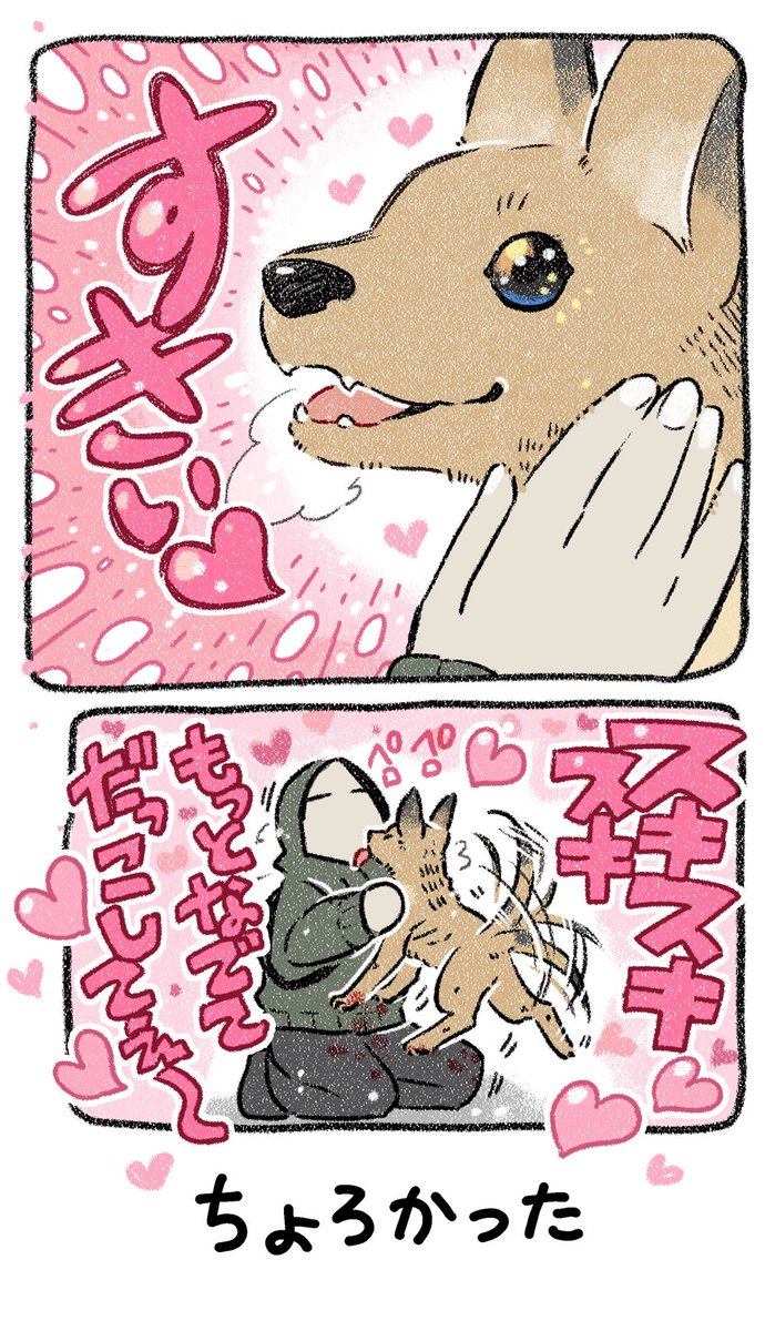 ④ 