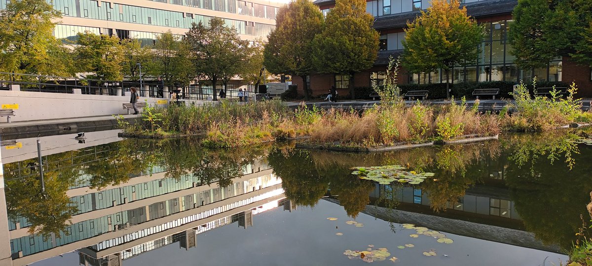 Prof Hilary Bekker (PhD) tweet media