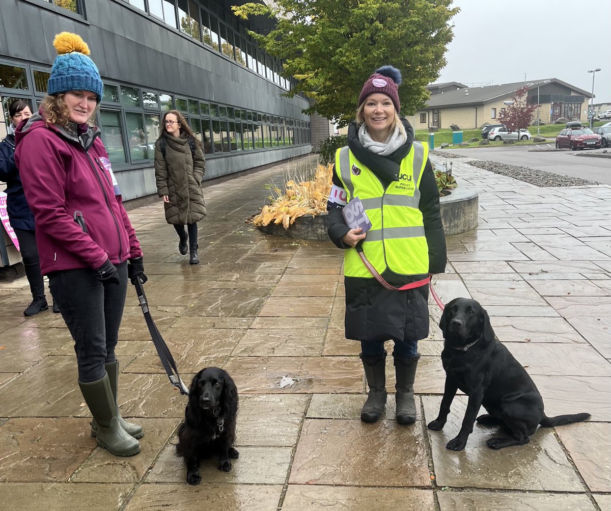 We’ve got more #dogsonpicketlines today - dogs against job cuts! #saveUHI #ucuRISING 🐶🐕‍🦺🐶