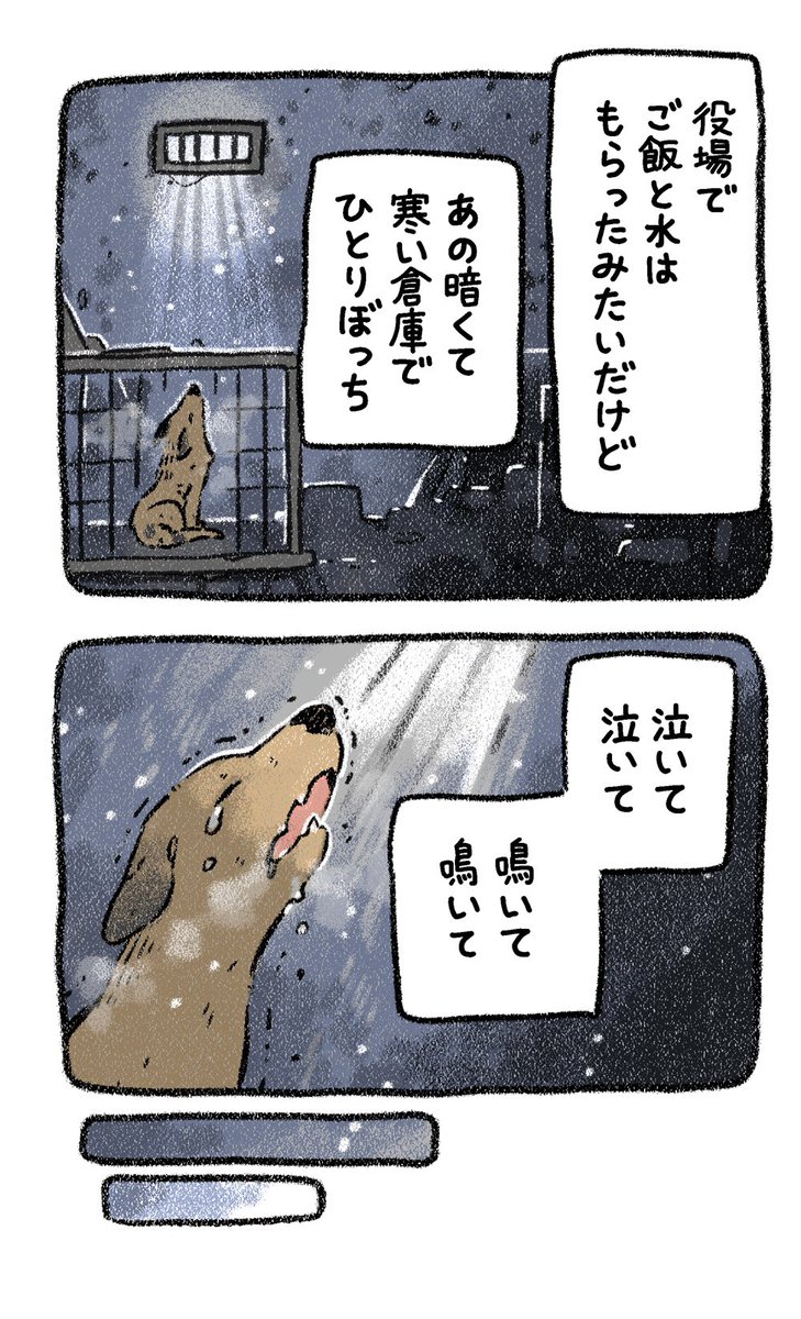 ⑦ 