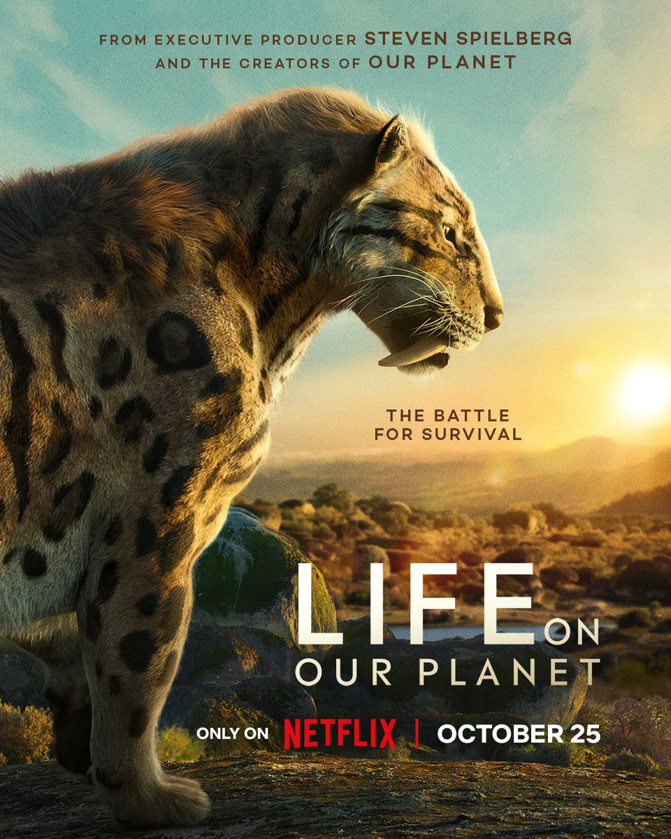 Olga Reed AMPS tweet media