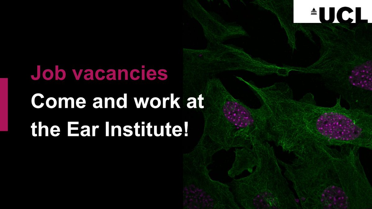 UCL Ear Institute tweet media