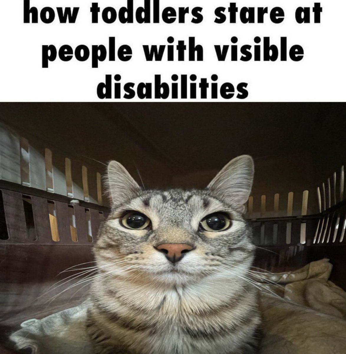 no context memes (@weirddalle) on Twitter photo 