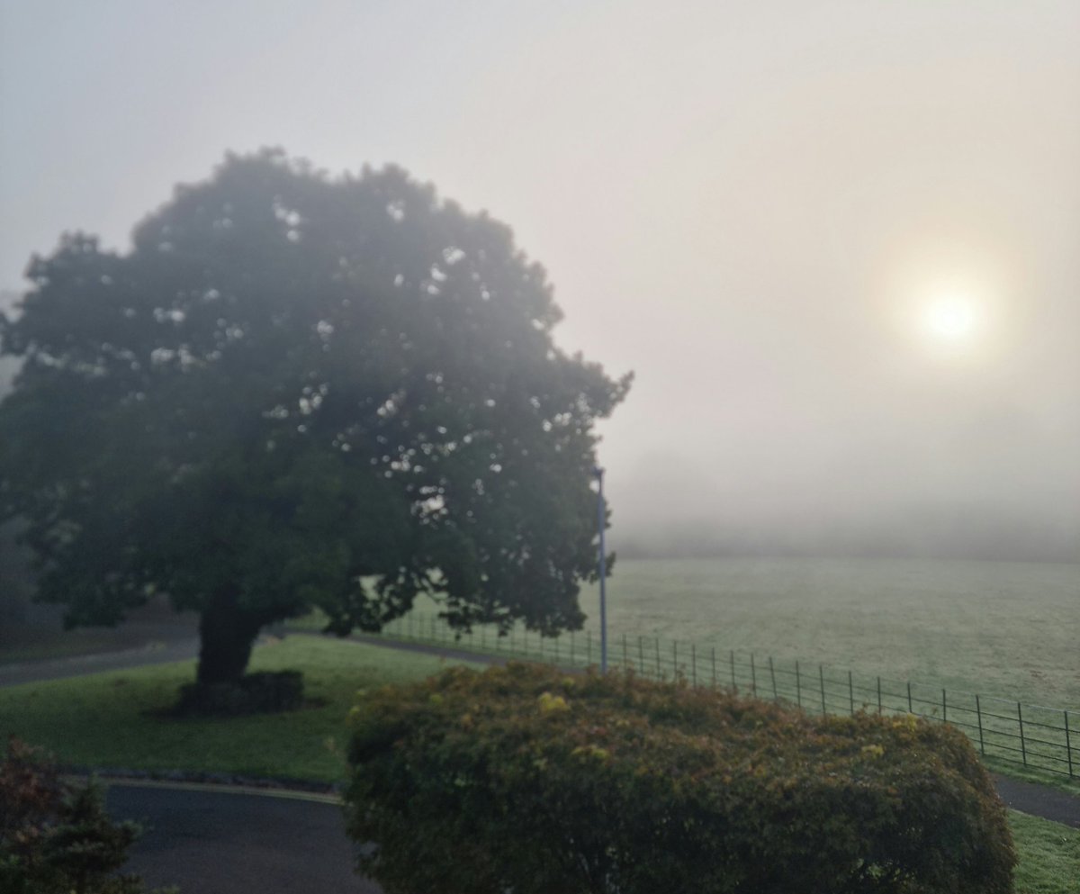 HelenC_SBLMW's tweet photo. Misty mornings https://t.co/FCKaJpBfsx
