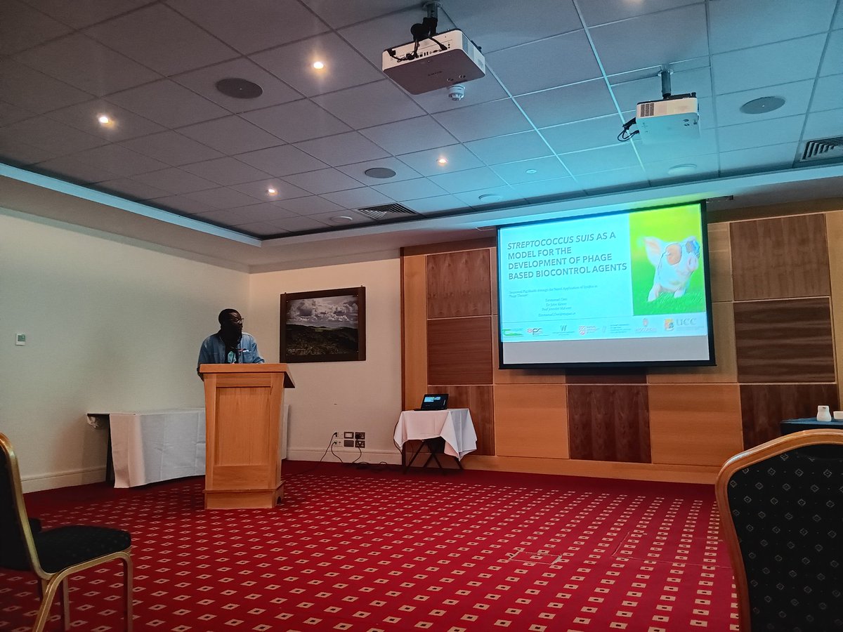 Our third speaker is @EmmanuelKuffo15, talking about Streptococcus suis as a model for phage based biocontrol agents #MicrobioIrish23 @MicrobioSoc @UccMicrobiology @SEFSUCC @UCC @JenniferMahony7