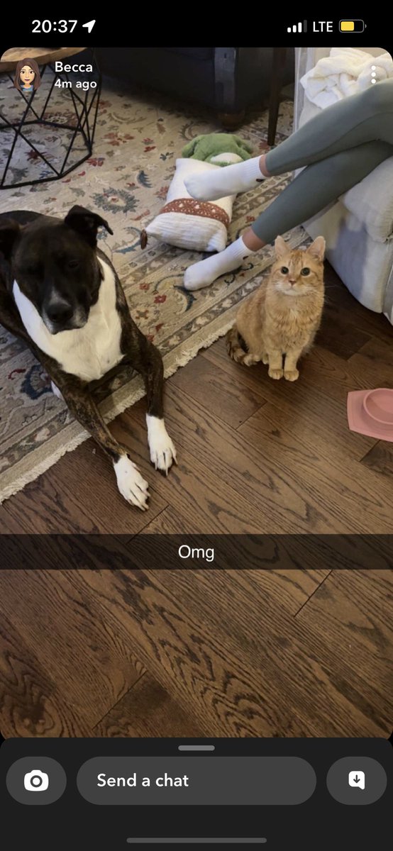 ColleenAkins's tweet photo. Pals https://t.co/myCcFJOaFN