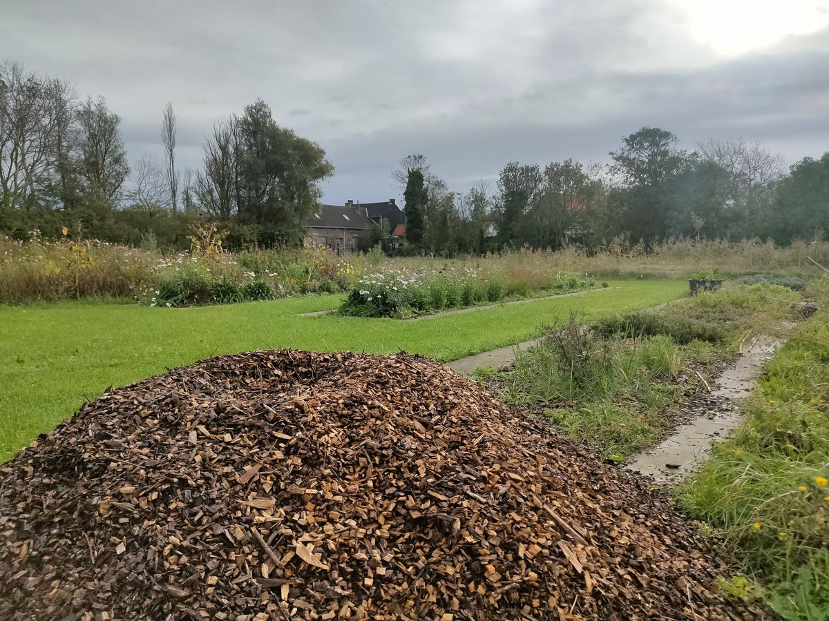 FoodSHIFT2030's tweet photo. Day 2️⃣ of #FoodSHIFT2030 Roundtable & Showcase! Today we are on the field learning about the Gardens of Stene, a innovative #agricultural #park in #Ostend and about the work of local organizations & innovators 🌾🌻🌺
More about it 👉https://t.co/dlZPwRzasN
#H2020 https://t.co/0u9Kxsxcy8