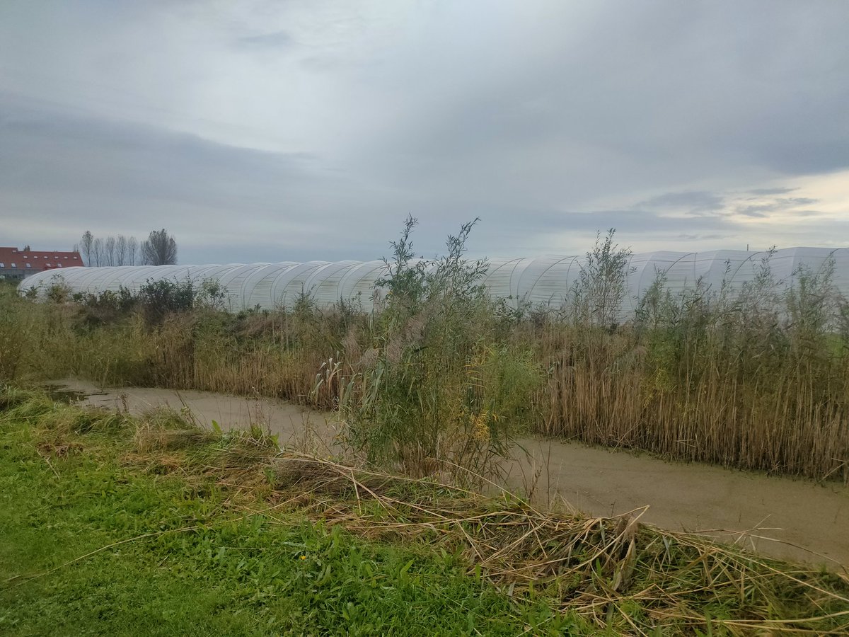 FoodSHIFT2030's tweet photo. Day 2️⃣ of #FoodSHIFT2030 Roundtable & Showcase! Today we are on the field learning about the Gardens of Stene, a innovative #agricultural #park in #Ostend and about the work of local organizations & innovators 🌾🌻🌺
More about it 👉https://t.co/dlZPwRzasN
#H2020 https://t.co/0u9Kxsxcy8