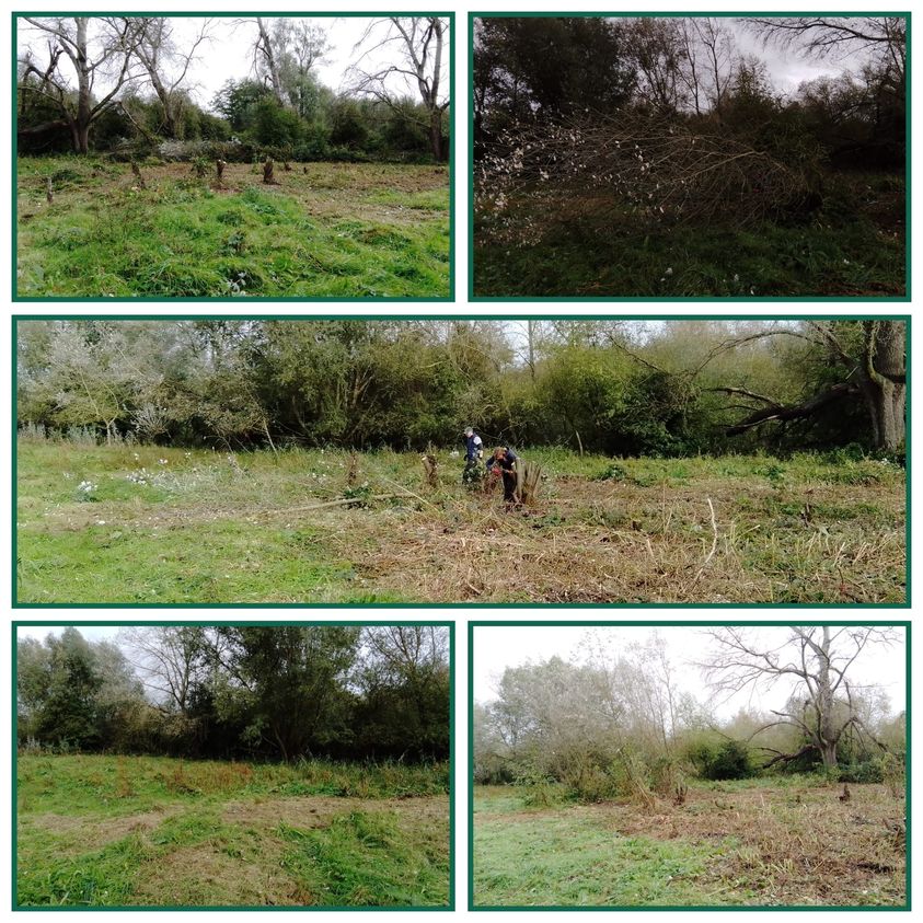 GloucesterCity's tweet photo. Volunteers helping to improve flood flow at Alney Island Nature Reserve this week #thankyou #communtity For further details of how to get involved see the community events pages 👉  https://t.co/V7m8w71NFi https://t.co/7LFBidt2Vy