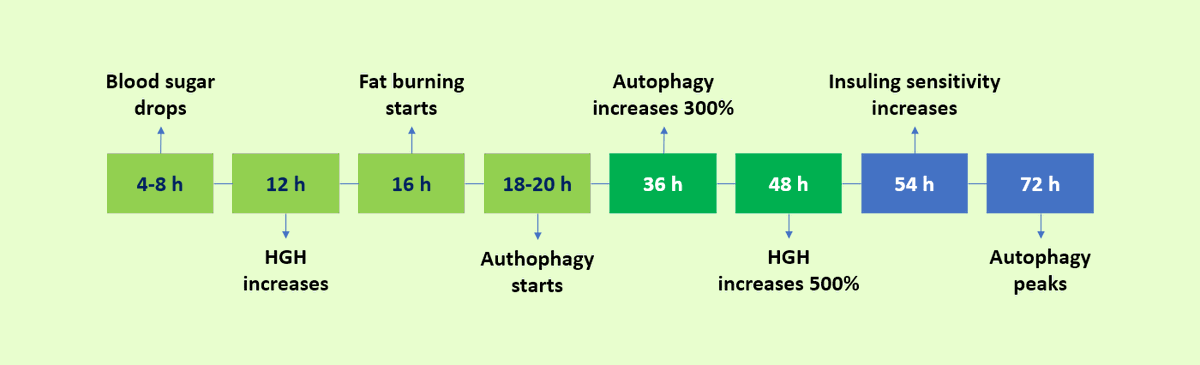 Just finished the quarterly 48h (sometimes 72h) water fast on top of the weekly 24h (every Monday). During this time, it feels great to give the body time to repair what it needs to repair and self-reflect. Gratitude is key! 😌🙏

#LONGEVITY #Health #Gratitude