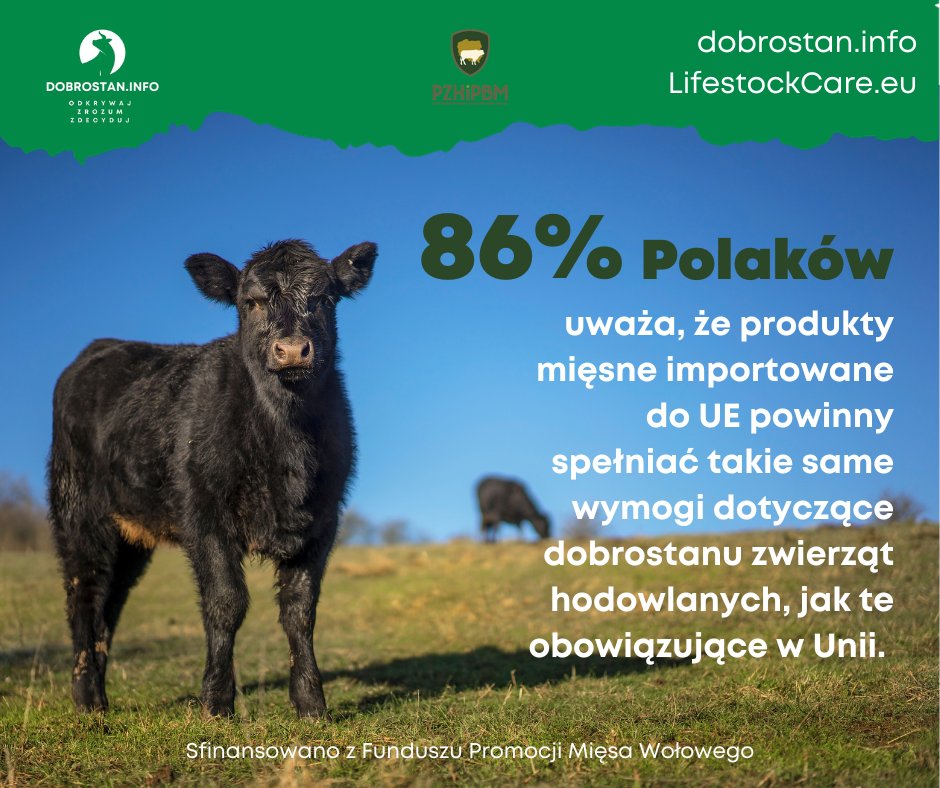 Dobrostan_info's tweet photo. 86% Polaków, uważa ze wymogi dobrostanu UE powinny obowiązywać również dla produktów mięsnych importowanych do Unii.

#FPMWł
#dobrostanzwierzat #raportdobrostan https://t.co/UnDPxNbxiQ