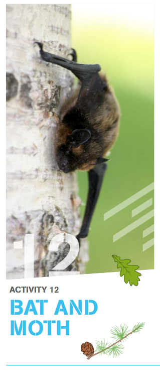 _OLW_'s tweet photo. It's #NationalBatWeek! Encourage your learners to get moving and active whilst learning all about echo-location and #bats. 🦇
Check out @NatResWales 'Animals and Habitats' booklet - Activity 12 - Bat and Moth game. 🦇🦋
👉 https://t.co/JEwETFCjEL https://t.co/HcTdgfRu7r