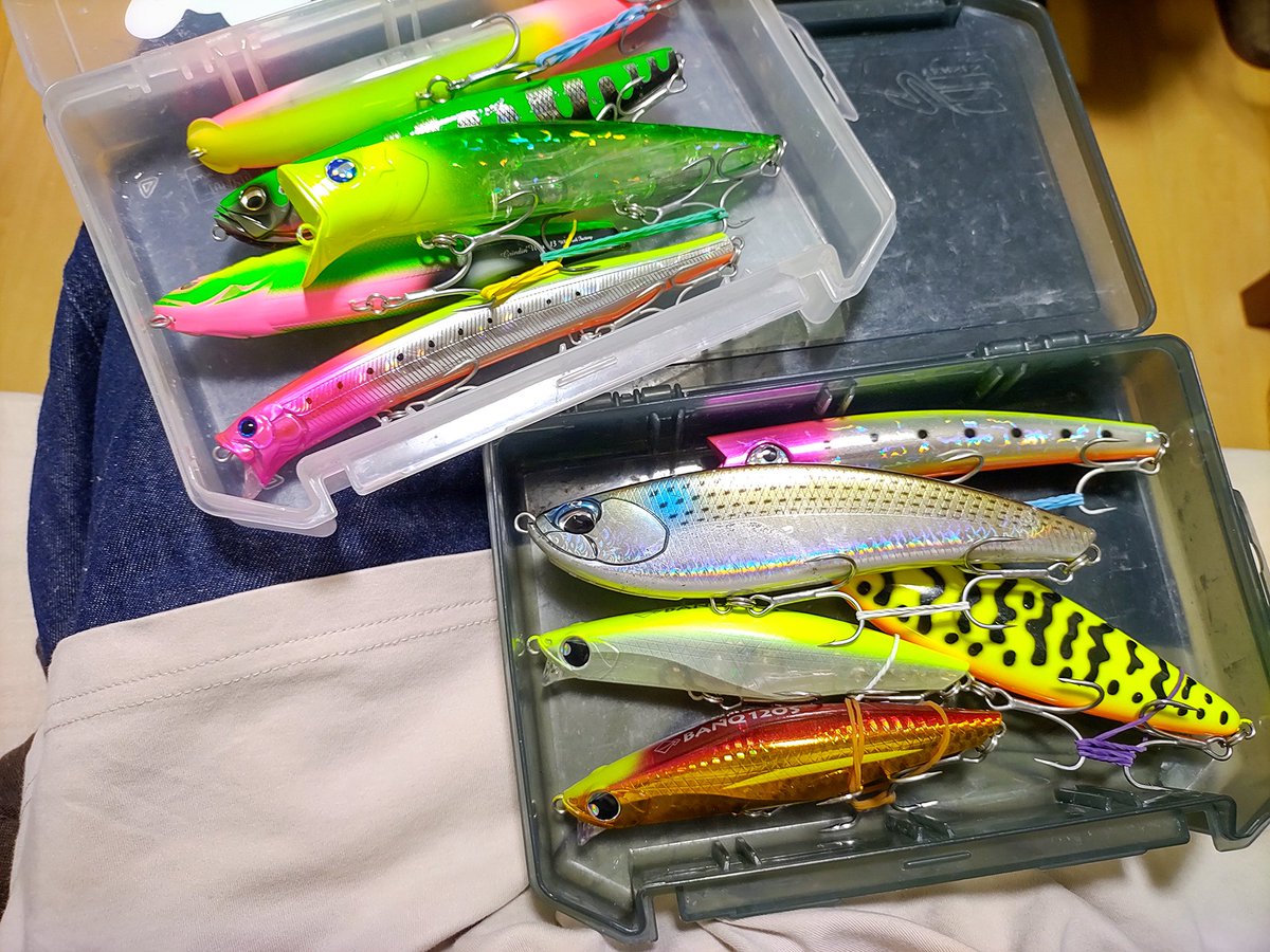 sasametsuribito's tweet image. 今日こそはデカいルアーで釣りたい！！

#fimoモニター
#DUOモニター
#DUOinternational