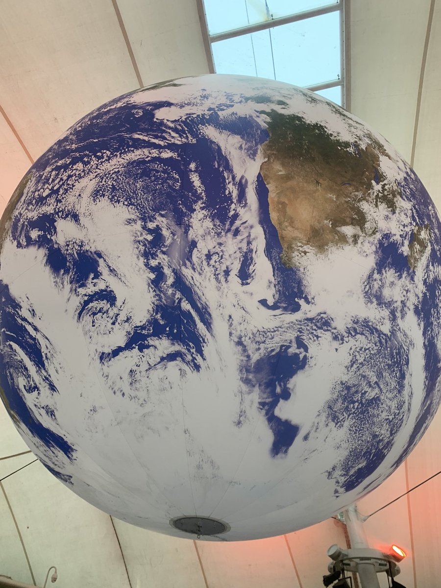 TILLY ROBINSON-MILES FRGS (she/her) 🌻 tweet media