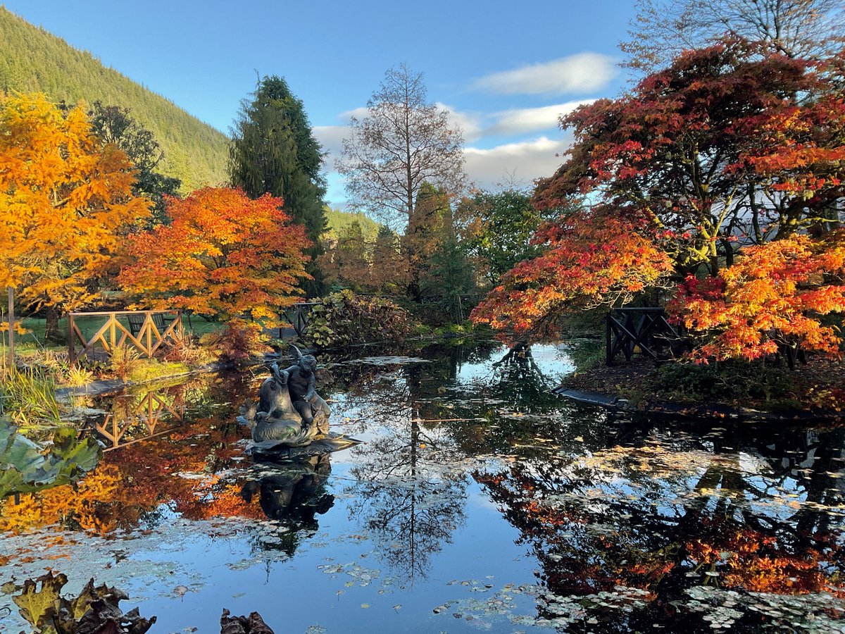 Autumn glow... <a href="/BenmoreBotGdn/">Benmore Botanic Garden</a>
