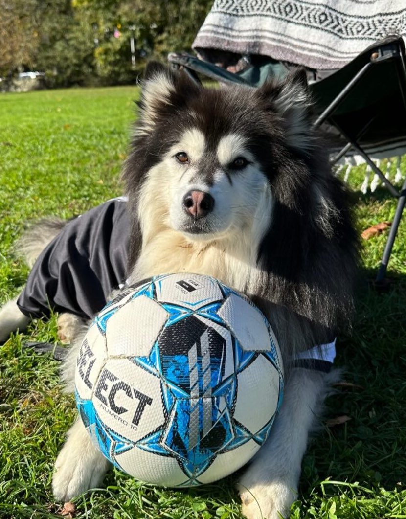 NewportRI_FC (@newportri_fc) on Twitter photo Newport FC
📆Sunday 10/29
⏰ 11:30am
🆚 Stonington CT FC
🏆<a href="/OceanStateSL/">Ocean State Soccer League</a> CUP 1/4 Final
📌Wilson Park North Kingstown, RI
Newport FC Over 30
📆Sunday 10/29
⏰ 8:00am
🆚 Portugal United
🏆OTHSL
📌Mariner Field Fairhaven, MA Newport FC
📆Sunday 10/29
⏰ 11:30am
🆚 Stonington CT FC
🏆<a href="/OceanStateSL/">Ocean State Soccer League</a> CUP 1/4 Final
📌Wilson Park North Kingstown, RI
Newport FC Over 30
📆Sunday 10/29
⏰ 8:00am
🆚 Portugal United
🏆OTHSL
📌Mariner Field Fairhaven, MA