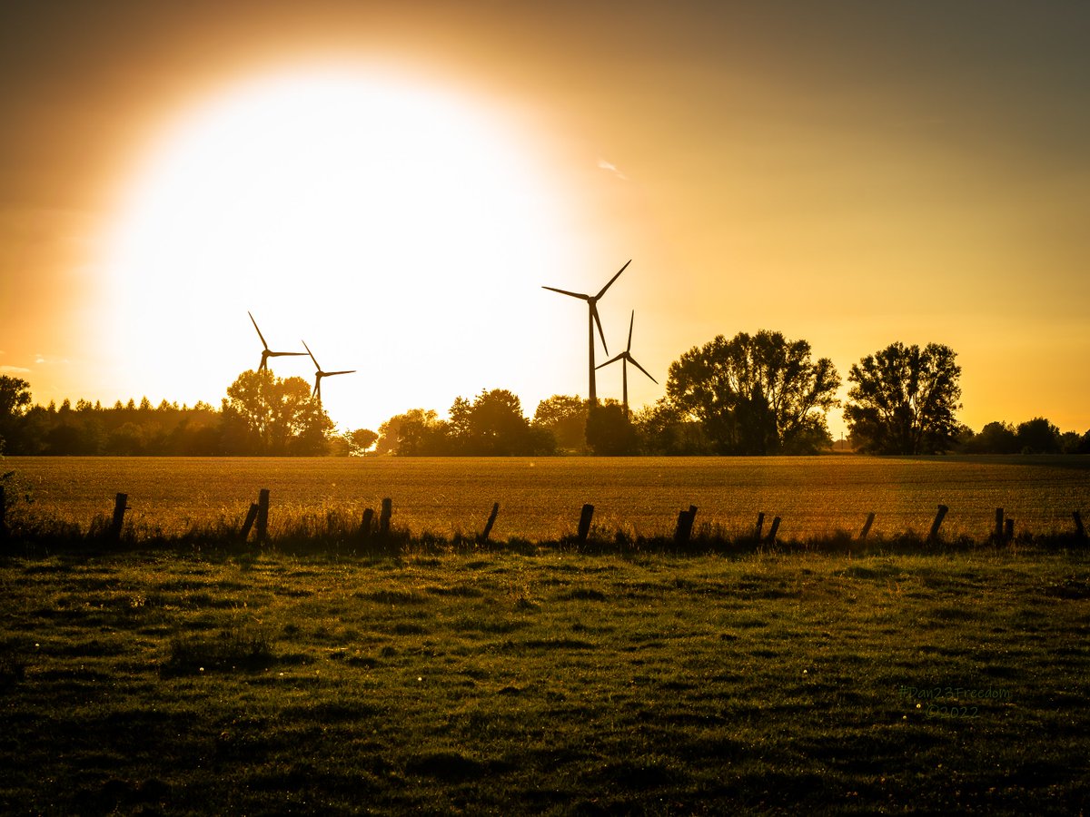 📷 1/800 sec at f/11, ISO 640, 75 mm (28-75) #dan23freedom
#germany #nordrheinwestfalen #trees #ilovetrees #tree_magic #renewableenergy #windenergy #walk #explore #sunsetporn #skyhunter