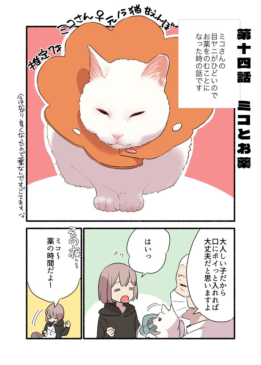 猫の投薬むっっっっっっっっっっっっっっっっっずかしくない?!?!?!って話(1/2) #漫画が読めるハッシュタグ #愛されたがりの白猫ミコさん