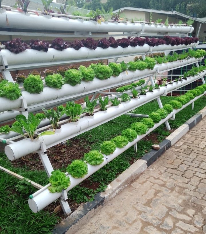 As the season is on, this is time to be done with fruit trees planting activities and for citizens don't forget to establish kitchen gardens via roof and vertical farming at your beautiful  homes
AGRIWIN Ltd is there for you