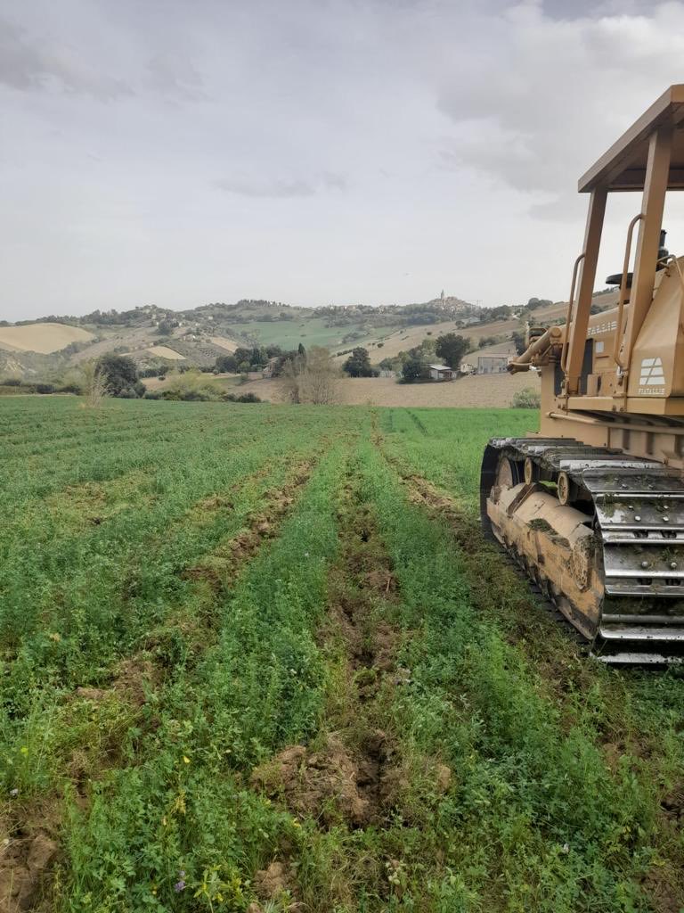 ElisabettaBurba's tweet photo. Inizia l’avventura del Vigneto Bruti Liberati, progetto che vede come protagonisti i miei figli @leobruti04 e @FedericoBruti. Stiamo preparando il terreno per impiantare due ettari e mezzo di Pecorino e uno di Grenache a #Castignano, un borgo medioevale sulle colline del Piceno. https://t.co/rvqbfhCWQR