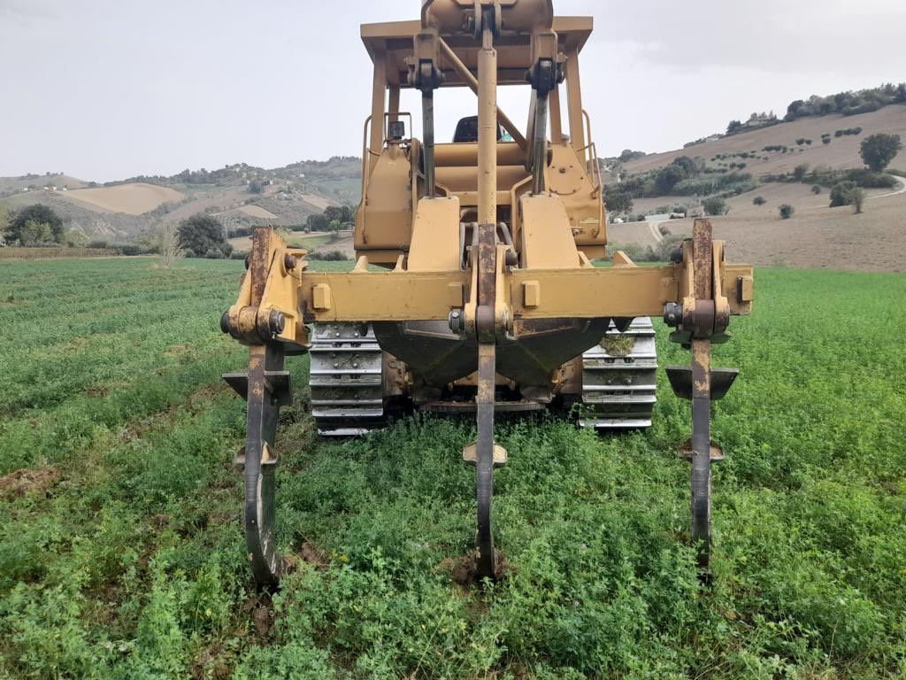 ElisabettaBurba's tweet photo. Inizia l’avventura del Vigneto Bruti Liberati, progetto che vede come protagonisti i miei figli @leobruti04 e @FedericoBruti. Stiamo preparando il terreno per impiantare due ettari e mezzo di Pecorino e uno di Grenache a #Castignano, un borgo medioevale sulle colline del Piceno. https://t.co/rvqbfhCWQR