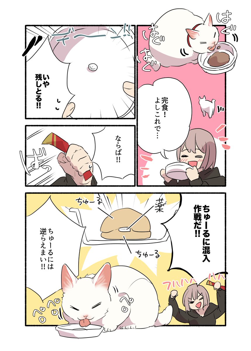 猫の投薬むっっっっっっっっっっっっっっっっっずかしくない?!?!?!って話(2/2) #漫画が読めるハッシュタグ #愛されたがりの白猫ミコさん