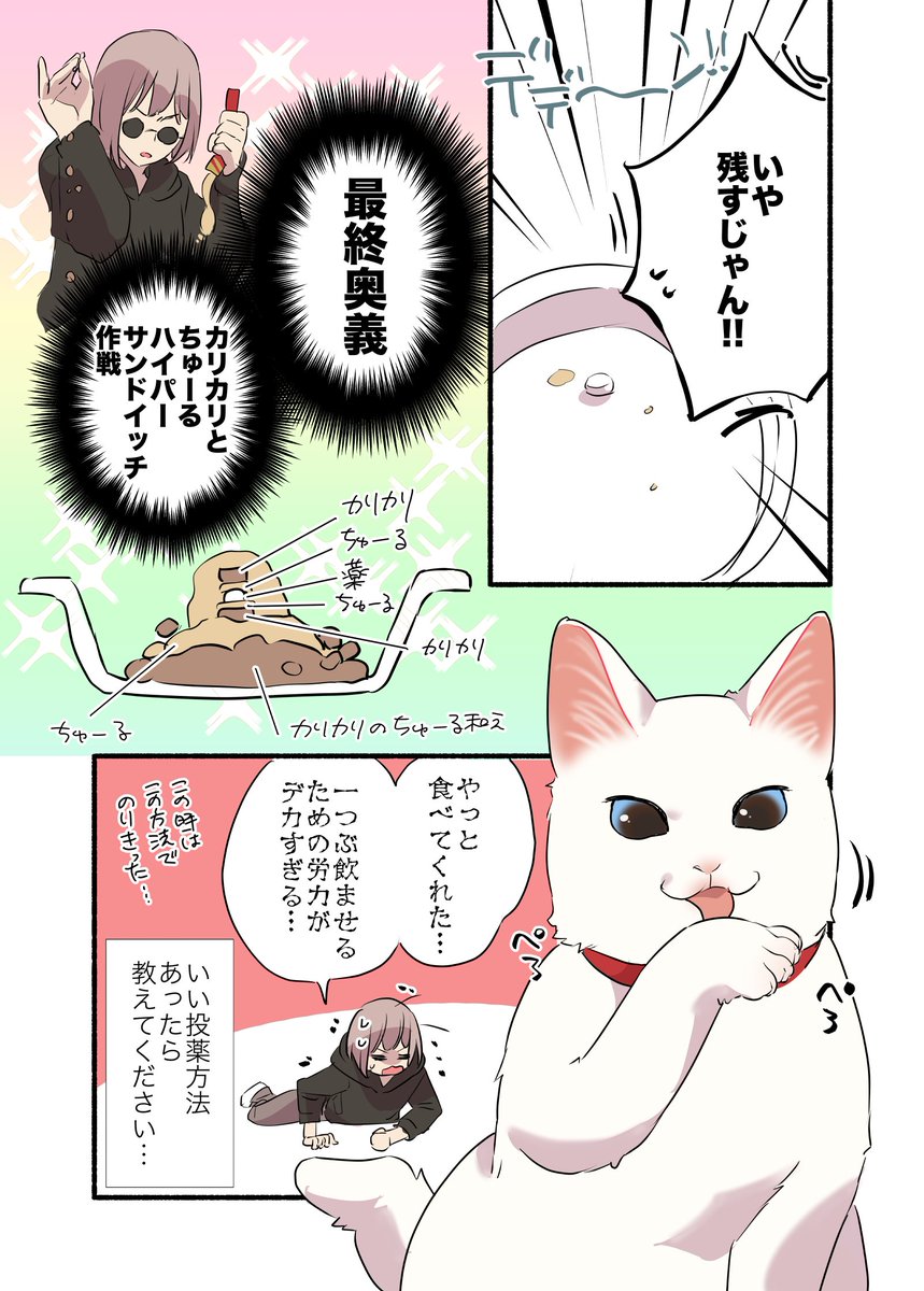 猫の投薬むっっっっっっっっっっっっっっっっっずかしくない?!?!?!って話(2/2) #漫画が読めるハッシュタグ #愛されたがりの白猫ミコさん