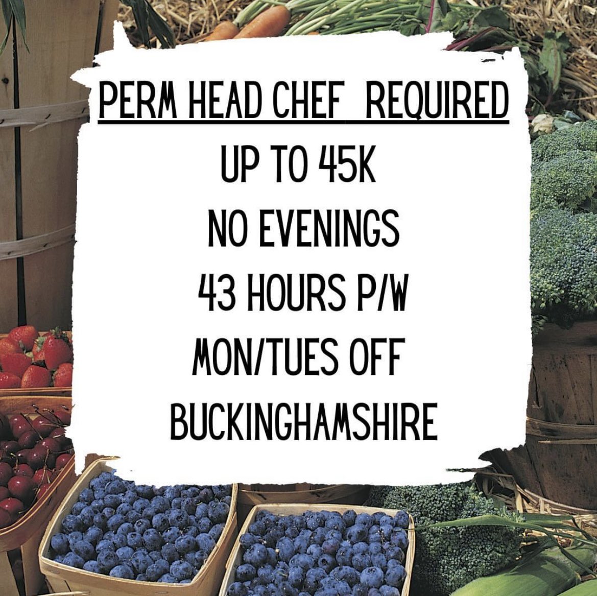 GoodEggChefs's tweet image. HEAD CHEF
Service 10:30-4:30 
Evenings off
5 day week
Kitchen gardens onsite
creative input
If you'd like to know more please do fling us a Cv at goodegghospitality@gmail.com or contact me directly on WhatsApp 07412455911.
Many thanks!
Laya
#chefjob #job #headchef #headchefjob