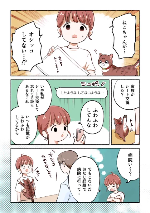 猫のくらし全自動記録装置!? 1/3   #PR #RABO #Catlog