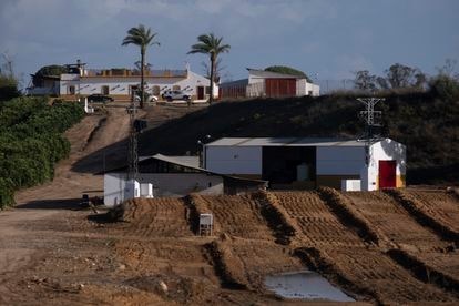 Hoy, la Fiscalía ha denunciado a Eugenia Martínez de Irujo por 8 pozos clandestinos en su finca que restan agua a Doñana. Crímenes medioambientales de la Casa de Alba.